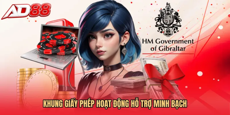 Khung Giấy phép hoạt động hỗ trợ minh bạch